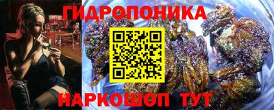стафф Владикавказ